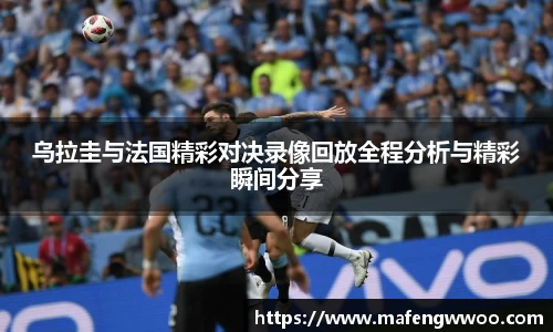 ag正规网站