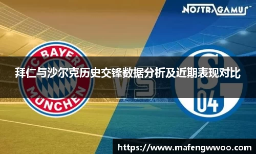 拜仁与沙尔克历史交锋数据分析及近期表现对比